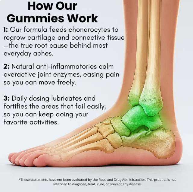 Joint & Mobility Support Gummies (Mixed Berry)