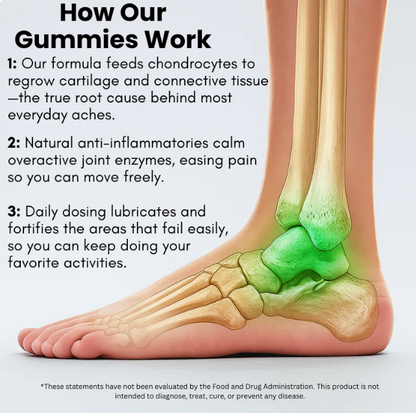 Joint & Mobility Support Gummies (Mixed Berry)