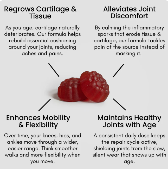Joint & Mobility Support Gummies (Mixed Berry)